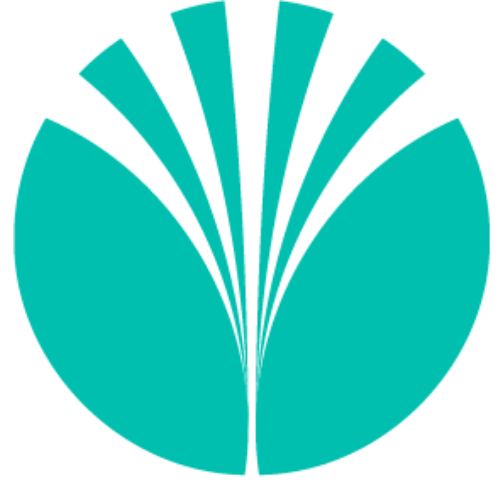 Online Uit het hoofd, in je lichaam 20 juni 2026