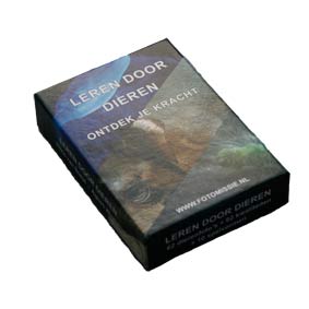 Leren door dieren - ontdek je kracht - particulier