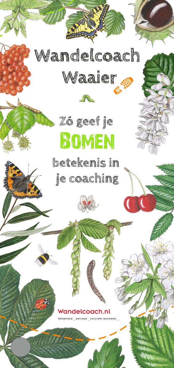 Wandelcoach Waaier ‘Zo geef je bomen betekenis in je coaching’