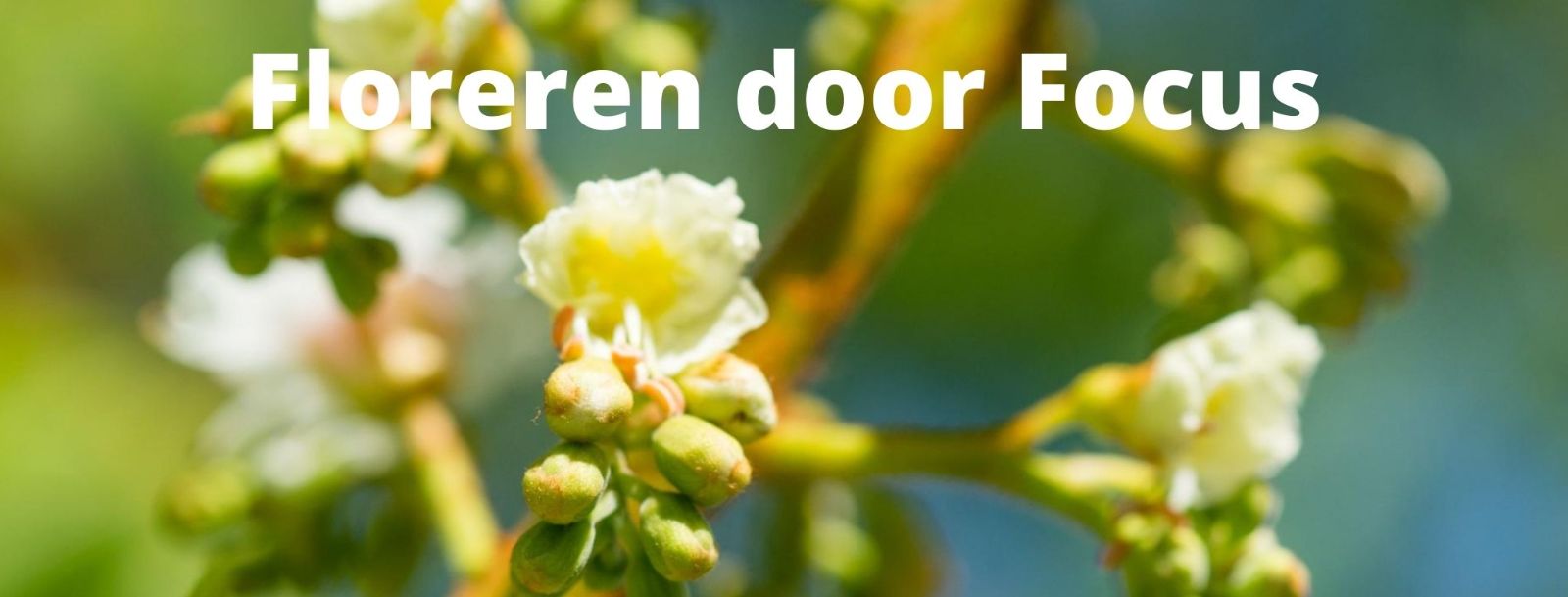 Floreren door gewoontes