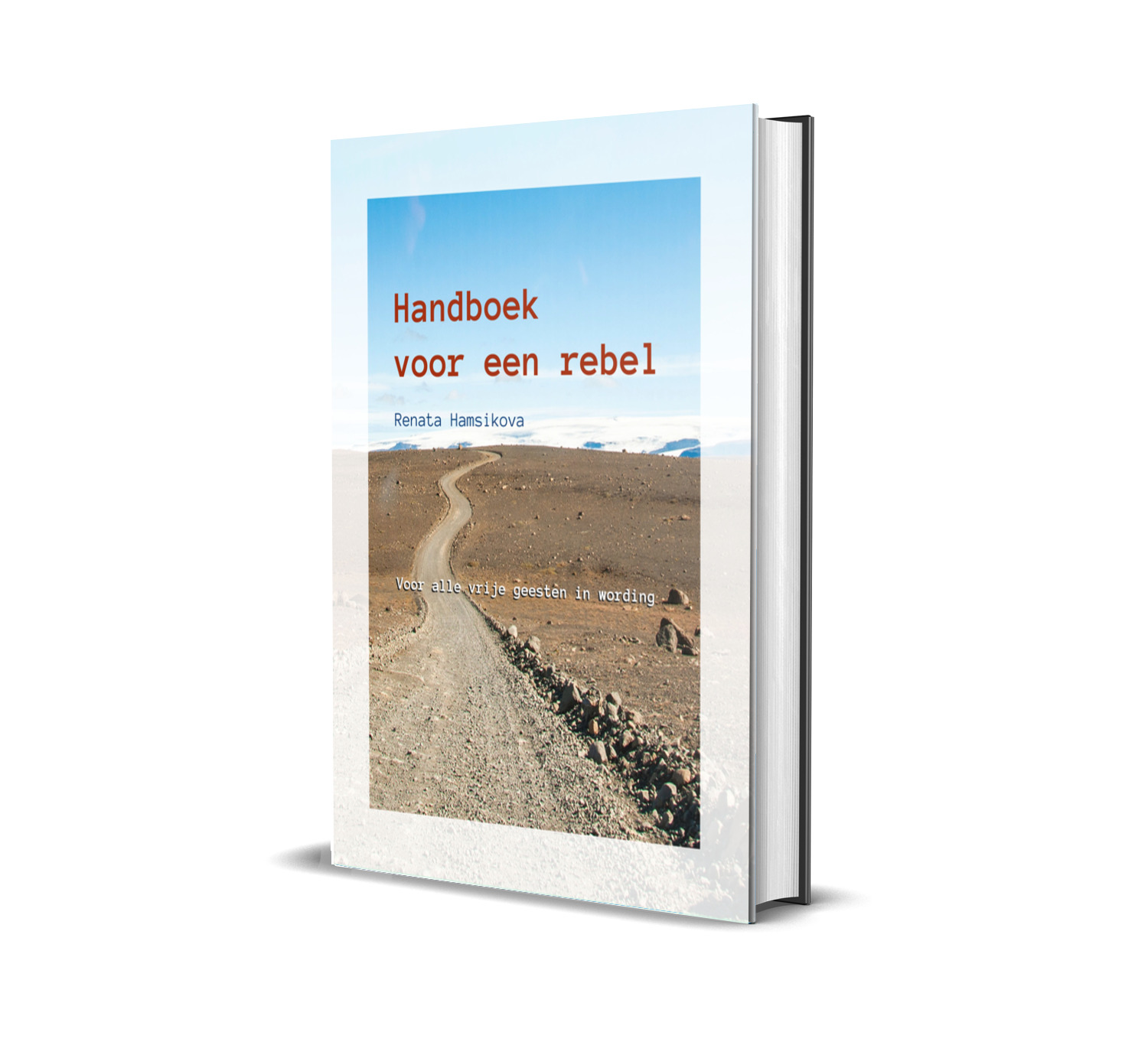 Handboek voor een rebel