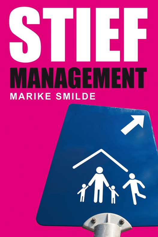 e-Book Stiefmanagement