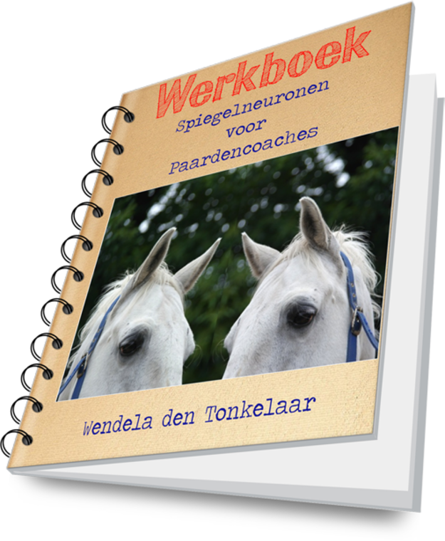 Masterclass Spiegelneuronen voor Paardencoaches