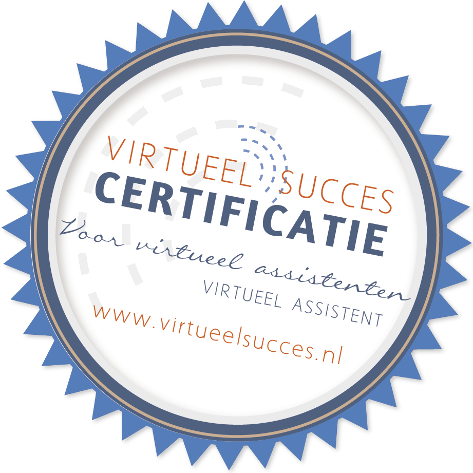 VS_Virtueel Succes - 6 termijnen